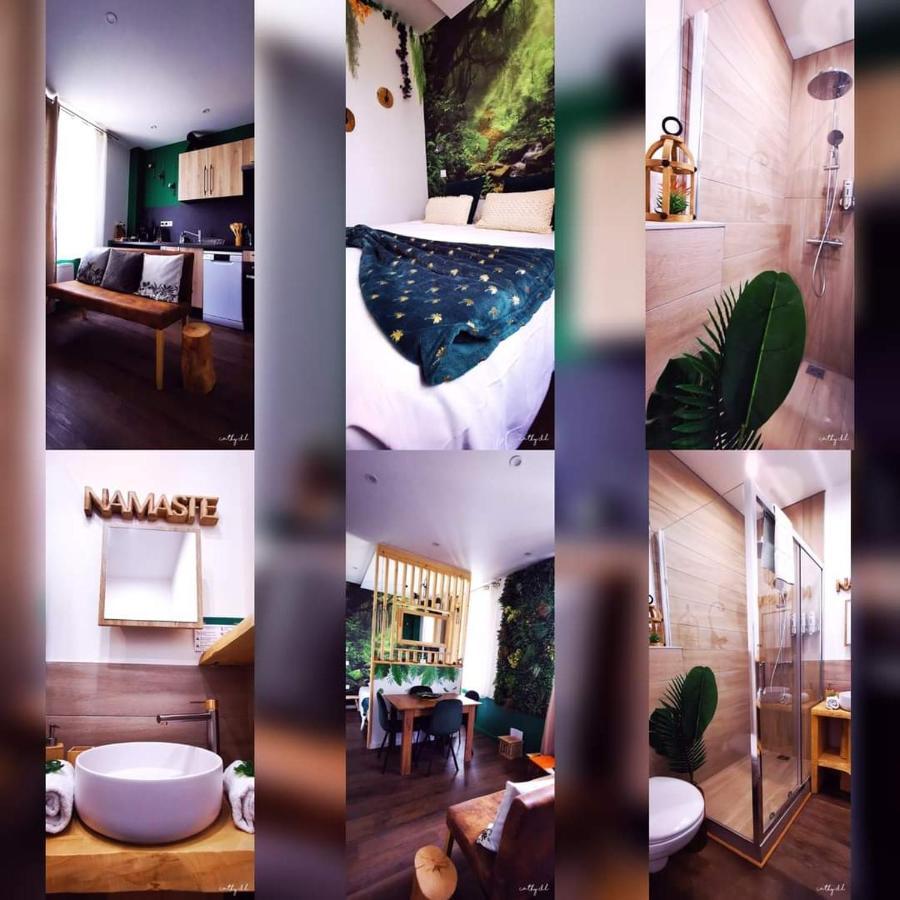 * Les Suites Aux Etoiles * 克莱蒙费朗 外观 照片